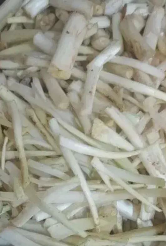 پاک کردن کنگر لوبیا سبز باقلا و حبوبات و سبزی در سعدیه جنوبی شیراز