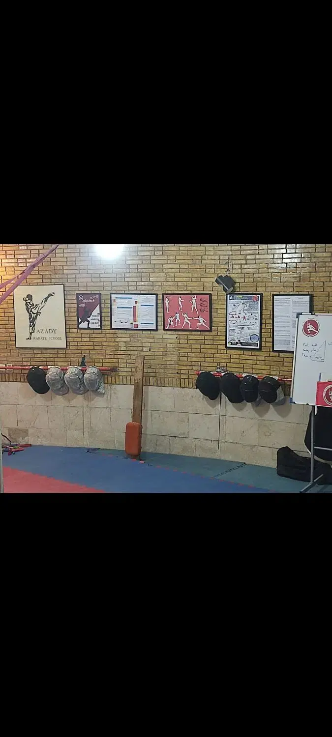 آموزش شمشیربازی در باشگاه آزادی ورزش رزمی با مربی در شیراز، عفیف‌آباد، خ عفیف آباد