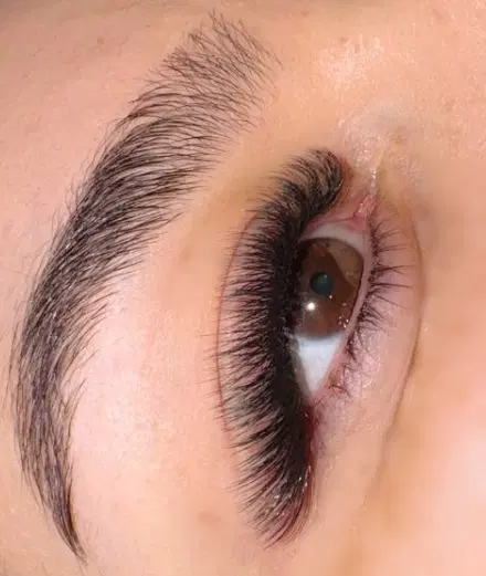 آموزش و خدمات تخصصی مژه در مرودشت، پشت سایپا