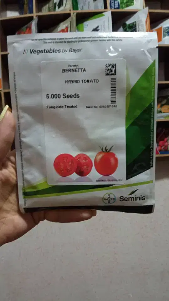 بذر گوجه.برنتا.باسیمو.8320وتمامی بذر های معتبر در شیراز، ارم، بلوار ارم