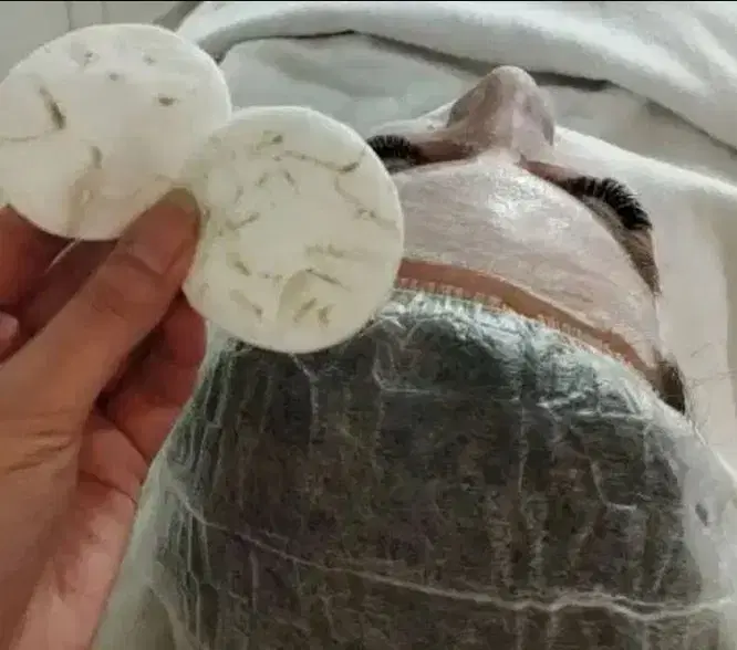 تخفیف 50درصدی فشیال در سالن زیبایی در جهرم، خ رهبری شصتم