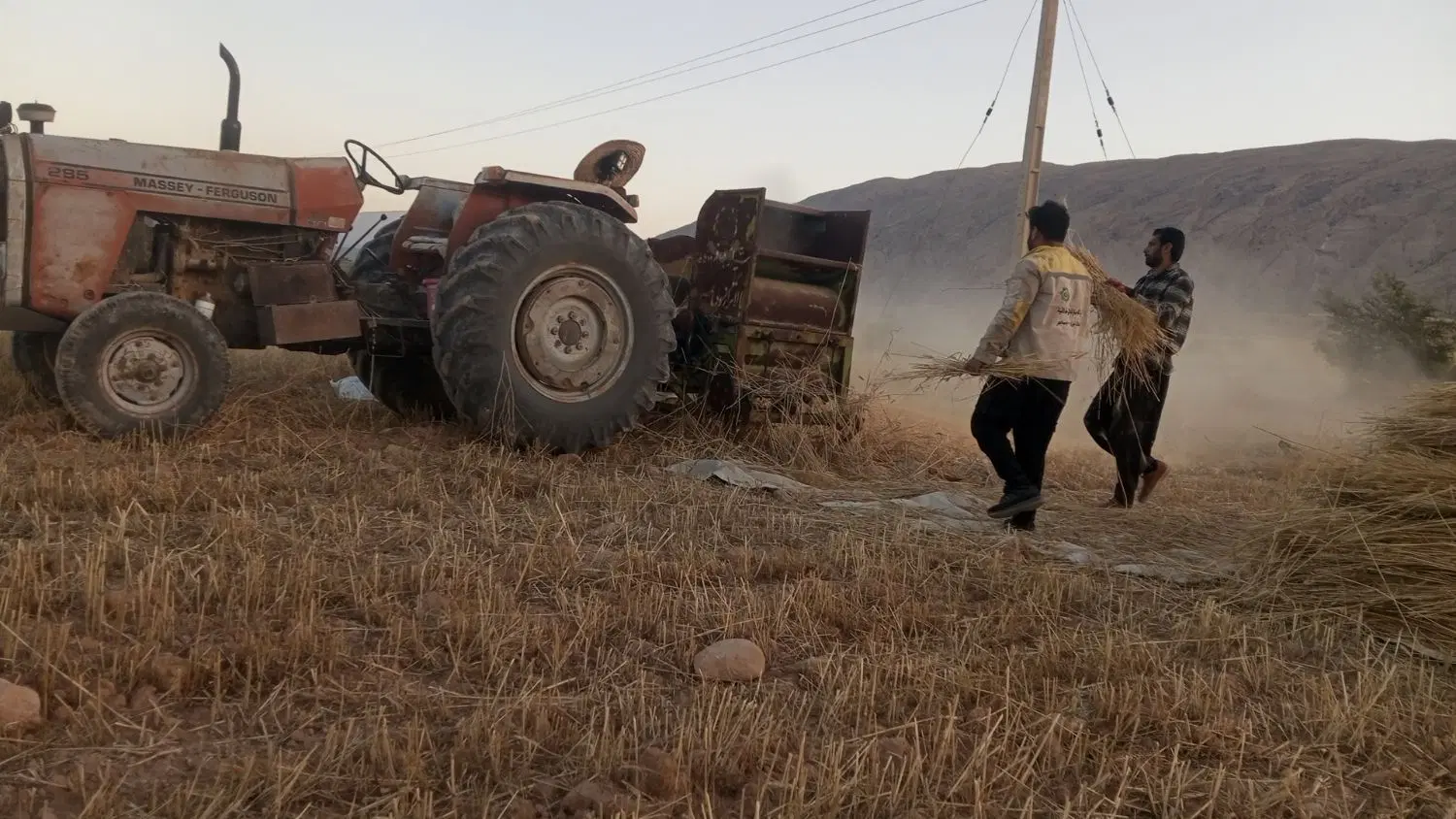 خرمن کوفتن با تراکتور در جهرم، جاده جهرم - میمند