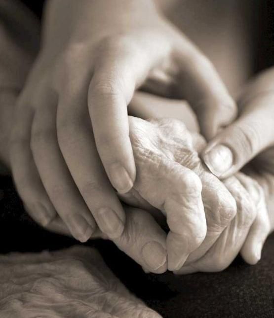 شرکت خدماتی مراقبت از سالمند،کودک،امورمنزل،اشپزی در شیراز، صاحب الزمان، بلوار ارتش