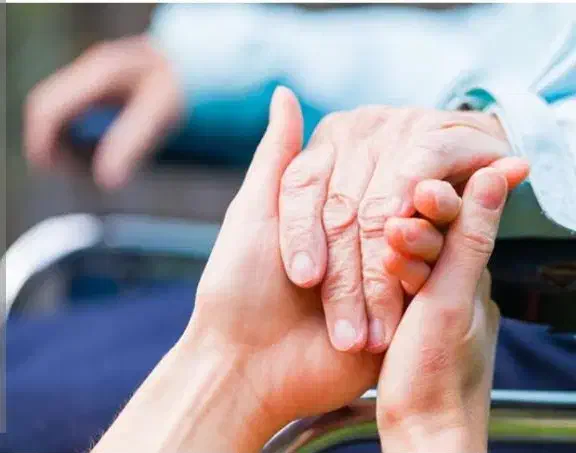 شرکت خدماتی نظافتی و پرستاری احسان نیک در شیراز، سینما سعدی