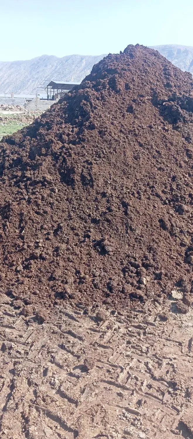 کود گاو و حیوون در زرقان، میدان عرفان
