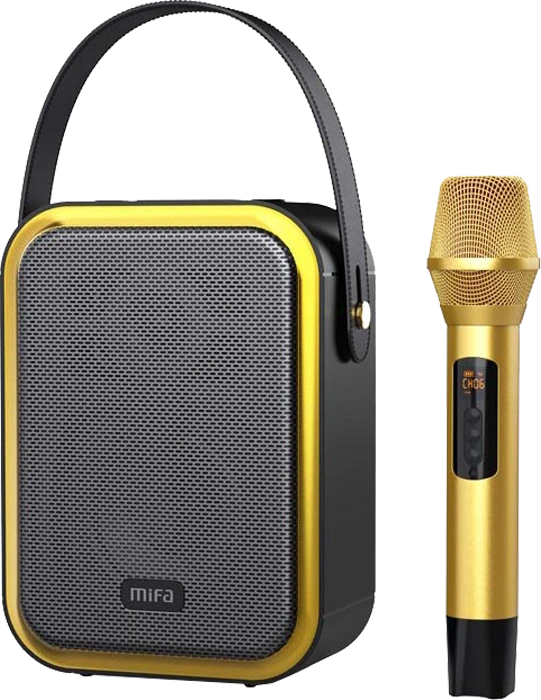 اسپیکر قابل حمل Mifa مدل F80
