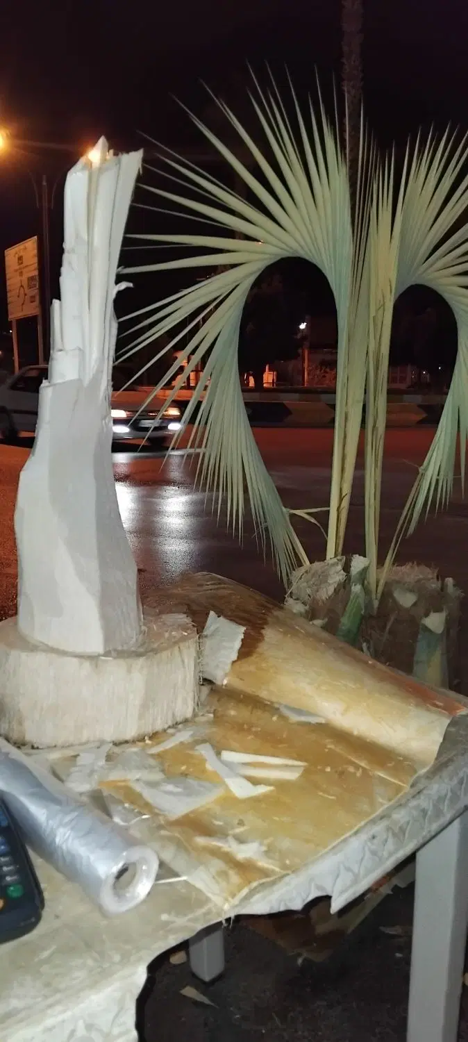 خرید و قطع نخل و درخت در جهرم، خ کاشانی ۱۳
