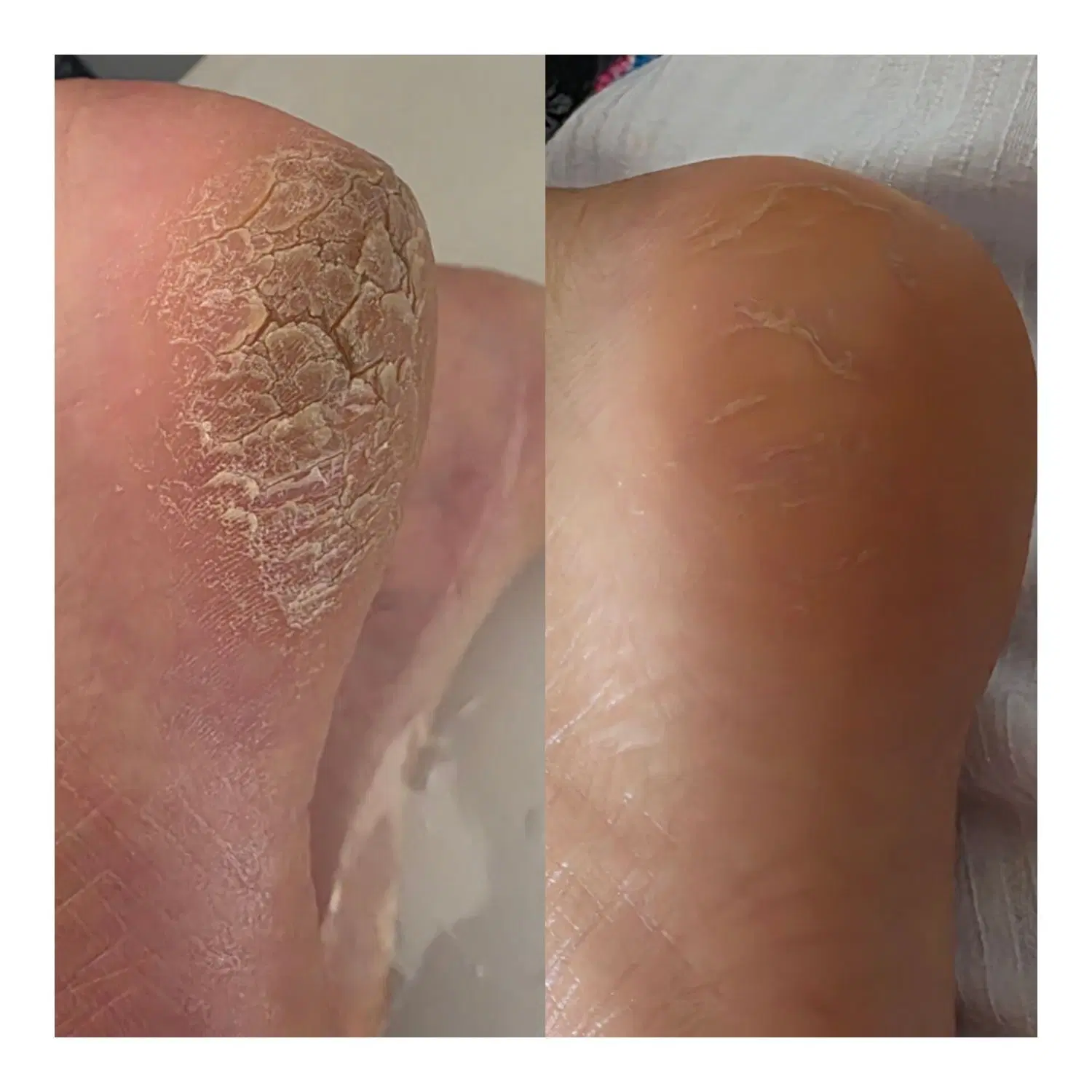 فشیال و پاکسازی مرودشت ابوذر شمالی